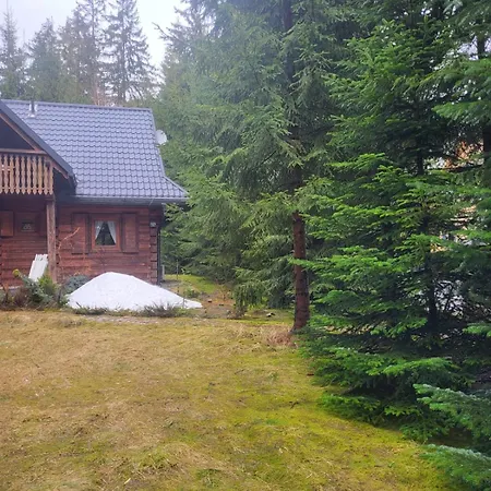 Holiday home W Zaczarowanym Lesie