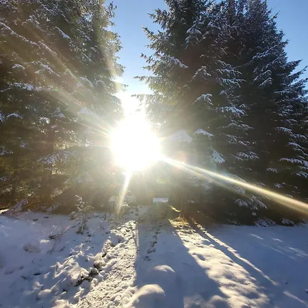 W Zaczarowanym Lesie Сasa de vacaciones *