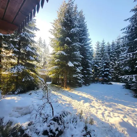 W Zaczarowanym Lesie Holiday home