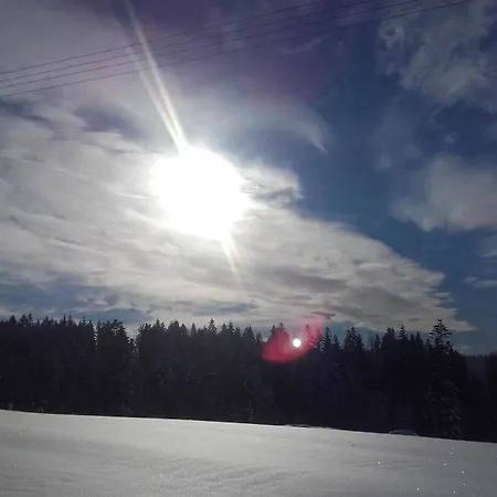 別荘 W Zaczarowanym Lesie