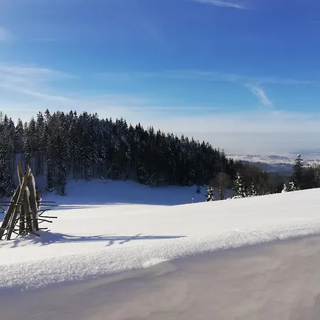 W Zaczarowanym Lesie 別荘 *