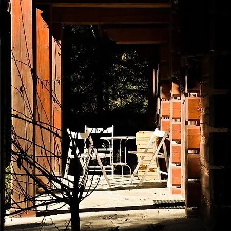 W Zaczarowanym Lesie Istebna