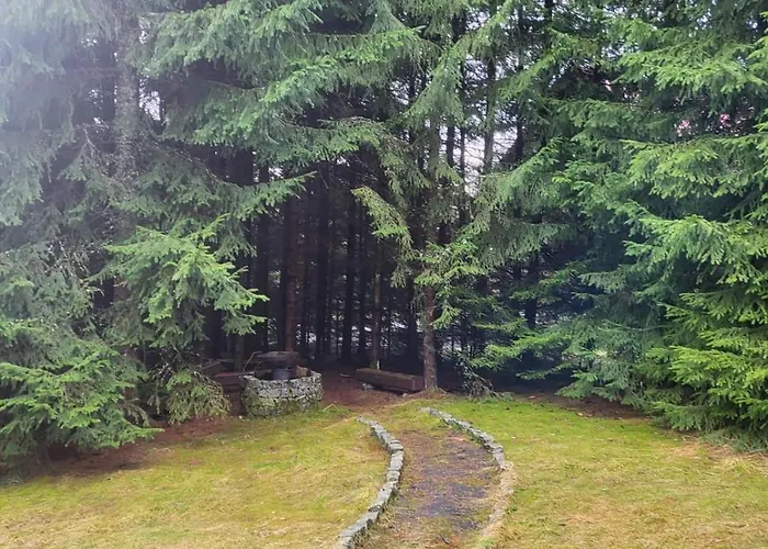 W Zaczarowanym Lesie * Istebna