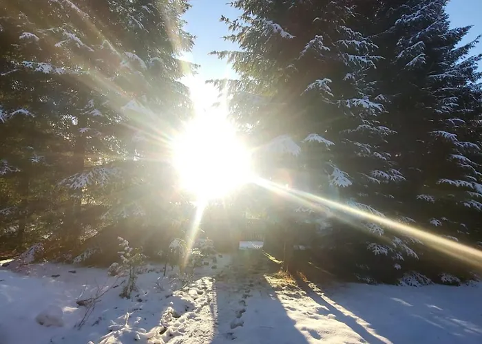 W Zaczarowanym Lesie Сasa de vacaciones *