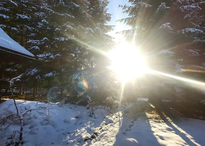 Сasa de vacaciones W Zaczarowanym Lesie