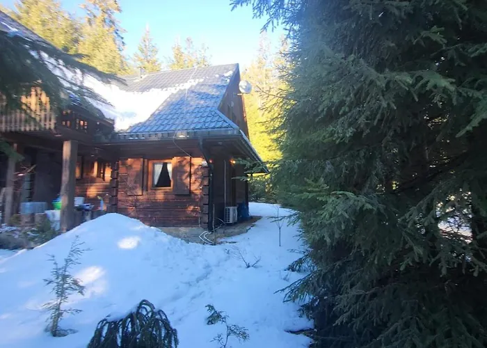 W Zaczarowanym Lesie Istebna