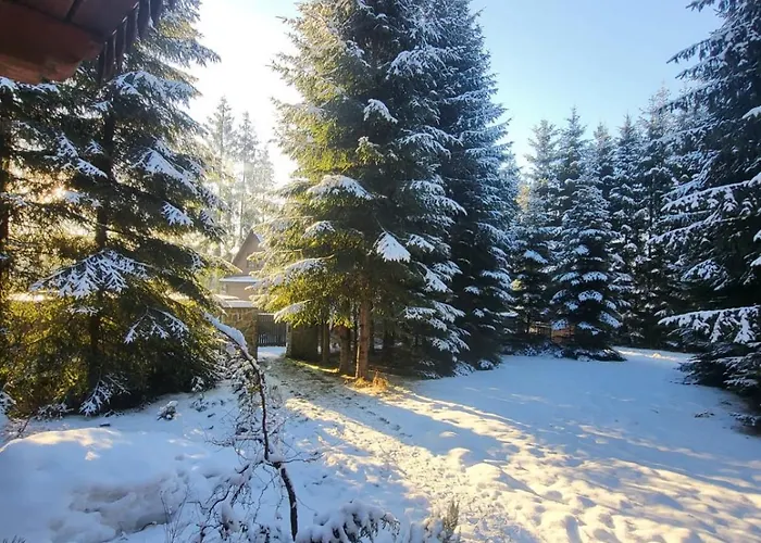 W Zaczarowanym Lesie Сasa de vacaciones