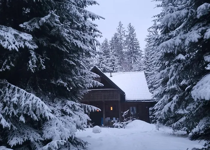 W Zaczarowanym Lesie Prázdninový dům *