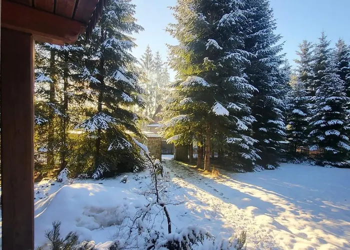 W Zaczarowanym Lesie Istebna