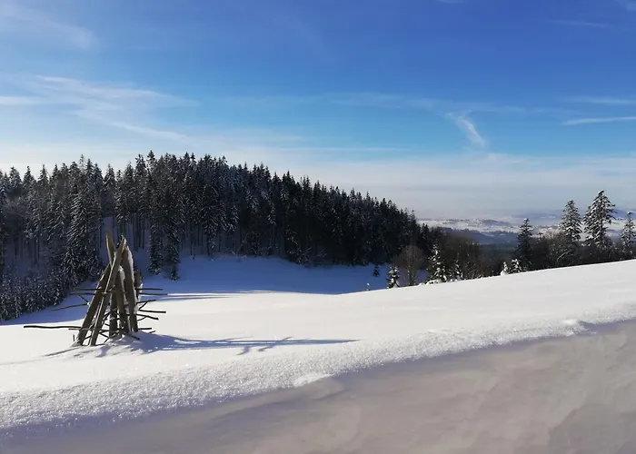 W Zaczarowanym Lesie Сasa de vacaciones *