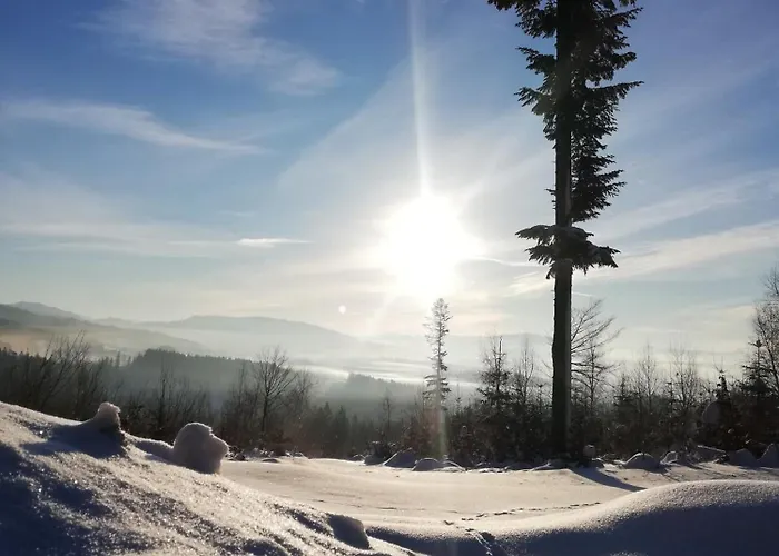 W Zaczarowanym Lesie