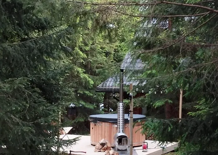 W Zaczarowanym Lesie *