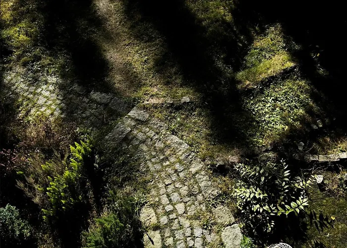 W Zaczarowanym Lesie * Istebna