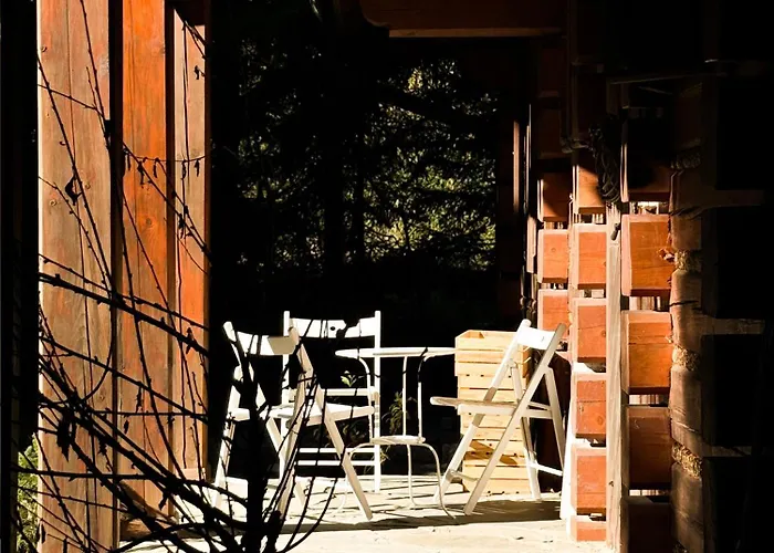 W Zaczarowanym Lesie Istebna